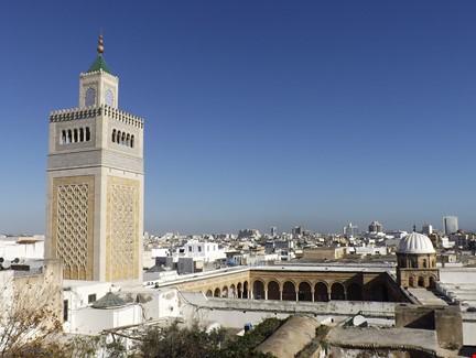 Tunus Sektörel Ticaret Heyeti